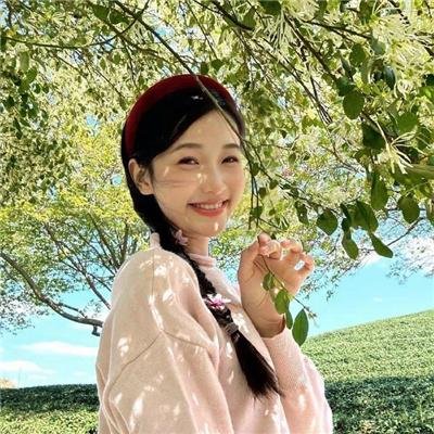 峠最后的武士